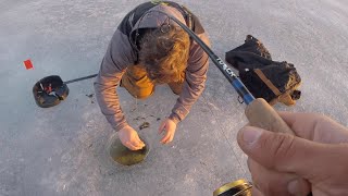 Fishing In 3ft Of Water For Big Fish (WITH FROZEN SMELT)