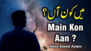 Poetry میں کون آں ؟ By Saeed Aslam Punjabi Shayari Whatsapp Status | poetry status | snack videos