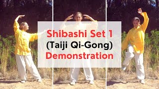 Shibashi (Taiji Qi-Gong) Demonstration with 128 Hz Soundscapes