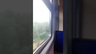 🚄 В электричке ЭД9М ✨🚄 #train #shorts #youtubeshorts #транспорт