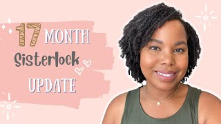 Sisterlocks 17 Month Update |  Gray Hair, Silver Jewelry, Ordinary Multi-Peptide Serum