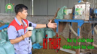 Cách xử lý chất thải chăn nuôi bò bằng máy ép phân tách nước 3A