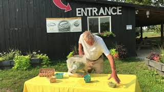 CSA Farm Share Packing  |  Elmwood Stock Farm Video