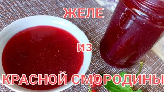 Желе из красной смородины. Вкусно Быстро Просто