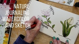 Sketch and Watercolor Magnolia and Tulips