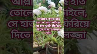 আল্লাহর কাছে হাত তোলে দোয়া চাইলে, সে হাত খালি ফিরিয়ে দিতে আল্লাহ লজ্জা পান।#waz #subscribe #shorts