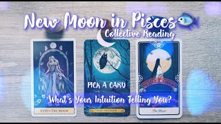 🌙New Moon Pisces🐟🔮Pick A Card✨What's Your Intuition Telling You?