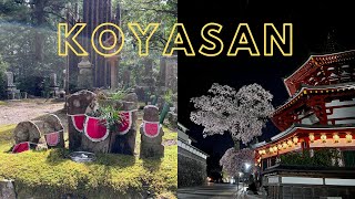 Koyasan: Night and day visit to Japan's largest cemetery + temple stay