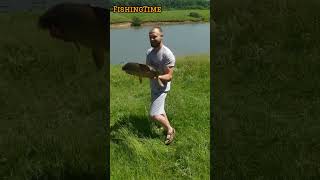 Вот это карп! На 14мм бойл и поп апом 10мм всё сладкое...  #big #big_carp  #fishing #рыбалка