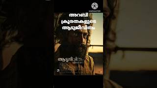 ആടുജീവിതം അറബി ക്രൂരതകൾ നിറഞ്ഞതോ I Is Arabs this much Cruel | #aadujeevitham #prithviraj #malayalam