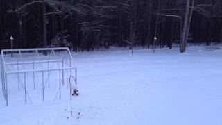 Schnee im Garten 29.1.2014