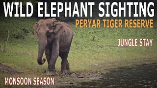 🔥Wild Elephant Sighting | Edapalayam Watch Tower @SimbaaVlogs