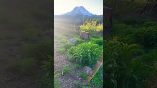 mount hood #mount hood meadows #oregon #USA @Mudita-RH2809