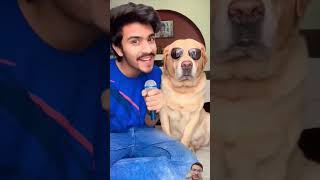 Most Funny Video #shorts #shortvideo #ytshorts #comedy