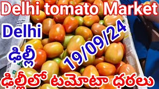 19September 2024|| today Tomato rate in Delhi Azadpur || today Tomato rate Delhi market