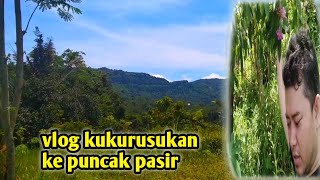 ngaboalang kukurusukan ke puncak pasir, yah lumayan indah.