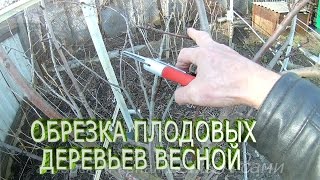 Обрезка плодовых деревьев весной.Когда обрезать плодовые деревья.Как обрезать плодовые деревья