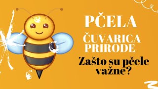 PČELA-ČUVARICA PRIRODE - Zašto su pčele važne?