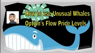 How to use Unusual Whale's Options Flow Price Levels