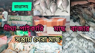 দীঘা পাইকারি মাছ বাজার   ||   Old Digha Fish Market 2024