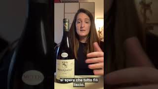 L'evoluzione del vino nel tempo