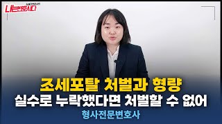 조세범처벌법위반 세금포탈 조세포탈 탈세 처벌과 형량｜형사전문변호사