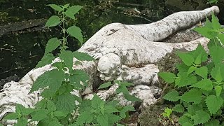 balade dans le jardin du waux hall