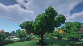 Minecraft : Custom Tree Timelapse