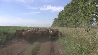 как спасти полсотни душ за две минуты