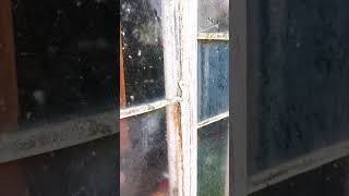 Old Style Glazed Window