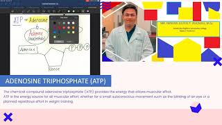 What is Adenosine Triphosphate (ATP)