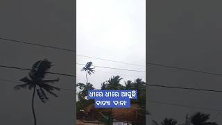 ଧୀରେ ଧୀରେ ଆସୁଛି ବାତ୍ୟା ‘ଦାନା' |Cyclone Dana || #cycolnedana #shorts #ytshorts #cyclone #cyclonenews