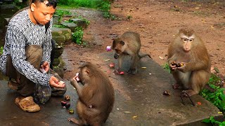 We tried feeding fruit & milk to Libby to restore her energy back but she is scare of Rose following