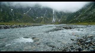 1 Hour Of Water Stream Flowing Down A Foggy Mountain With Birds Sounds In The Background  |  4K