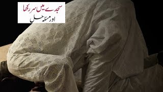 Sajdy Me Sar || سجدے میں سر || Hafiz Dawood Shah Rizvi ||Desir Istikhara