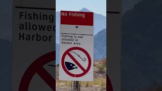 No fishing in the Harbor Area! 🚫 #fishing #nofishing #bassfishing