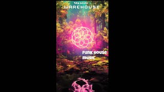 Funk House Music - WAREHOUSE (Official Audio) By. Sky Beatz