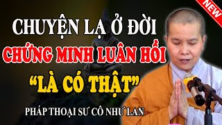 CHUYỆN LẠ Ở ĐỜI CHỨNG MINH LUÂN HỒI LÀ CÓ THẬT (Không Nghe Uổng Lắm) - Pháp Thoại Sư Cô Như Lan