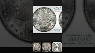 🤩 1892-CC 🤩 SOLD!!! #morgandollar #silverdollar #numismatics #silver #coincollecting