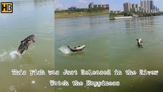 Fish Started Jumping out of Happiness | Woman Bought It and Released It #CuteAnimals #Humanity