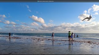 Windy Winter Afternoon at Siesta Beach