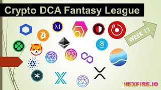 Crypto DCA Fantasy League - Week Eleven (11) Review