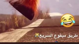 طريق ميقوع السريع🤣🤣🤣