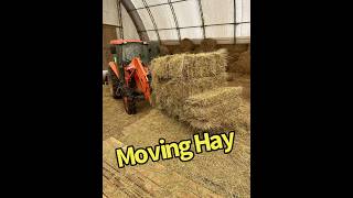 Fork Extensions Make Moving Hay Easier #hay #tractorattachments #skidsteerattachments