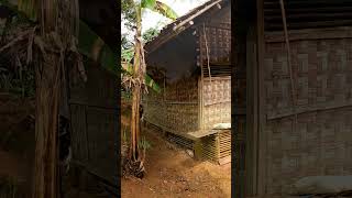 Suasana Pedesaan Yang Damai Seperti Kembali ke Jaman Dulu #shortvideo #shortsyoutube #shorts