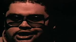 HEAVY D & THE BOYZ(SILK) - GOT ME WAITING(REMIX[ALTERNATE VIDEO])1994