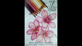 Video-Tutorial sul COLORE  + Sequenza schede sui FIORI