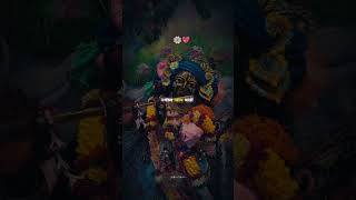 Shyama aan baso 🩵 | Radha Krishna Aesthetic Status 🌸| Aesthetic whatsapp status 🍂 #shorts