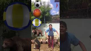 Monkey🐒, Bear 🐵, 🐕, Rabbit 🐰, Tortoise 🐢 #vfx #viralshort #viralvideo me*2 #funny *"3