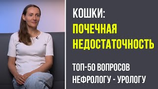 Невероятный разговор о кошках с ветеринаром, Вероникой Токуновой. См. тайминг в описании